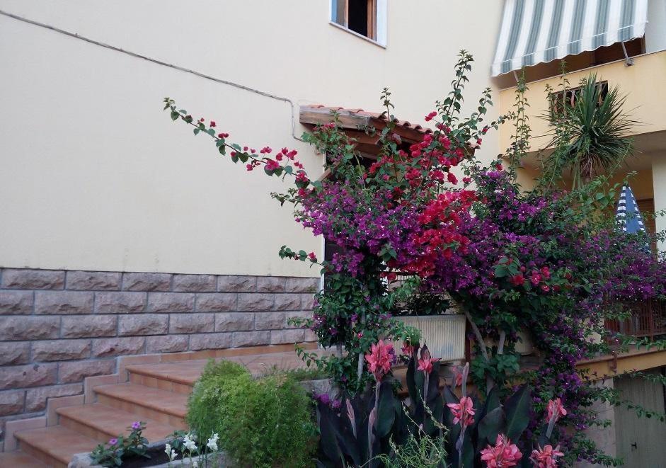 Al 32 Y 3 Bed & Breakfast Alghero Exterior photo